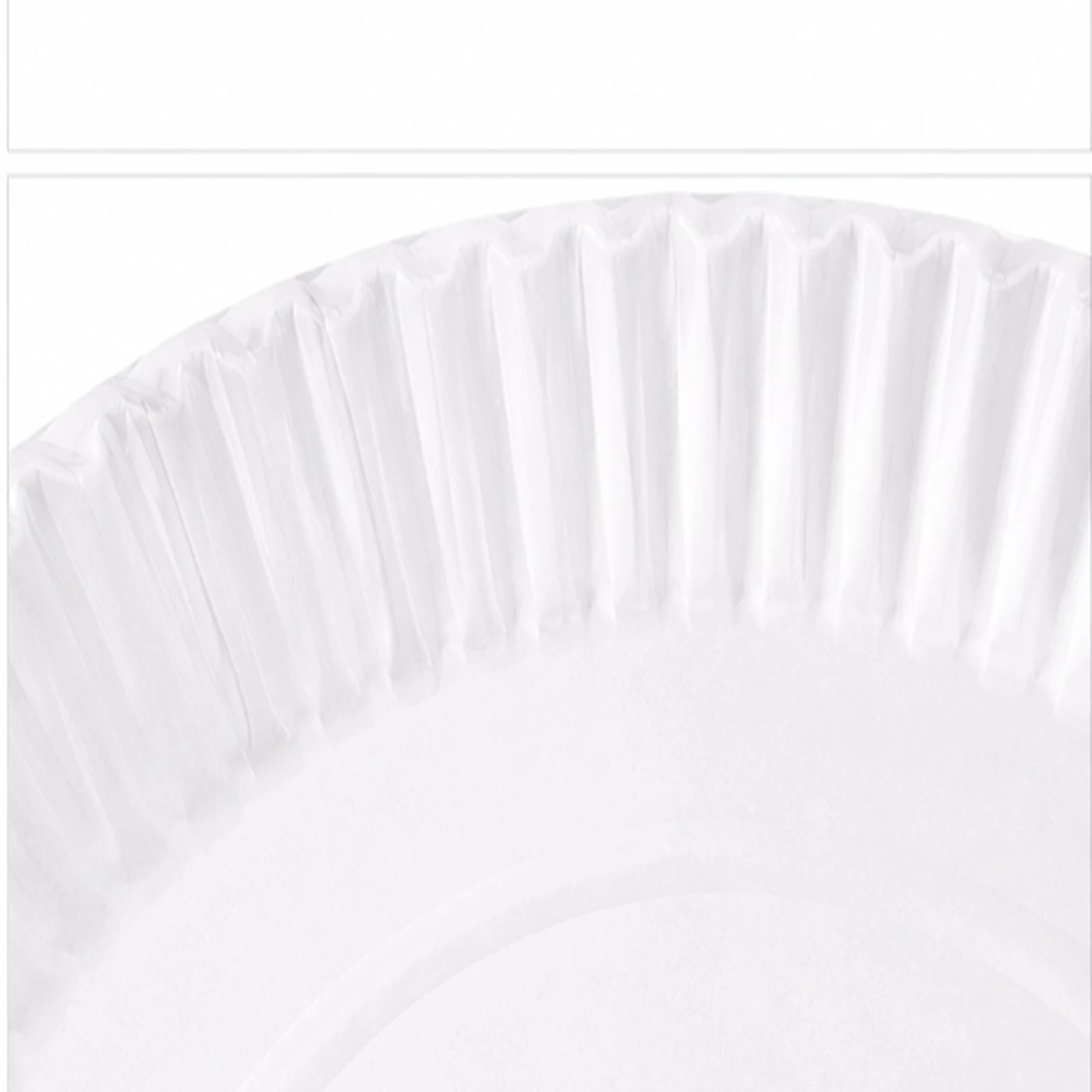 Paper Plates Disposable 12 Inch - ITC 4