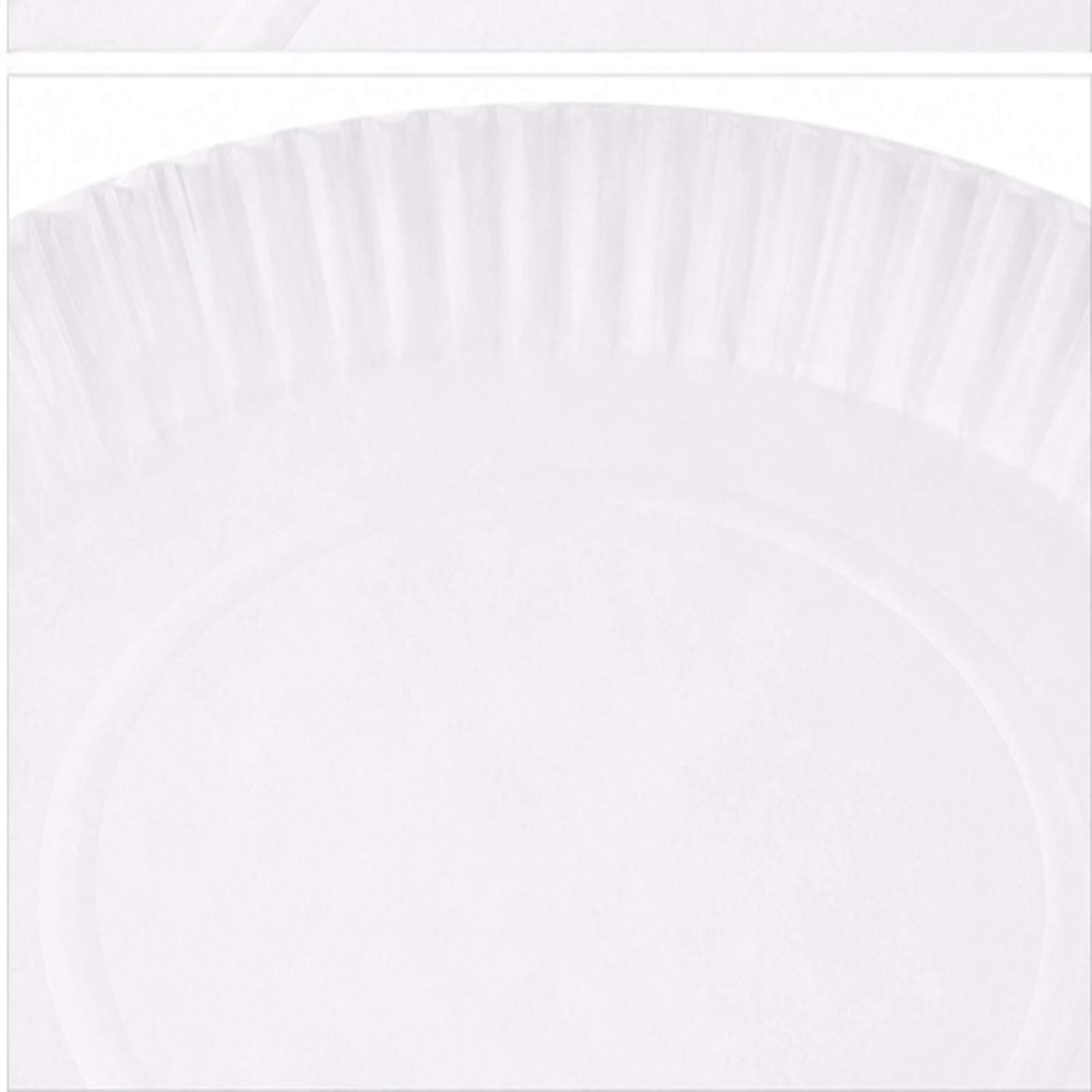 Paper Plates Disposable 12 Inch - ITC 6