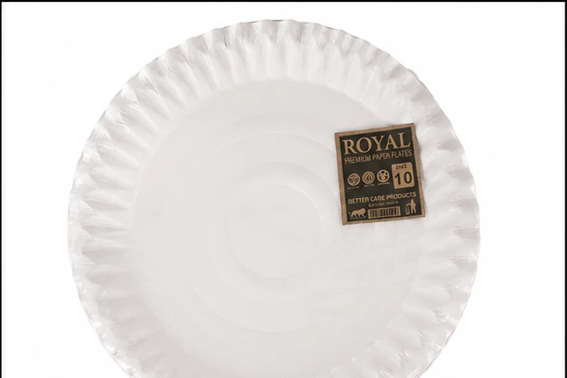 SBS Paper Plate 10" 3