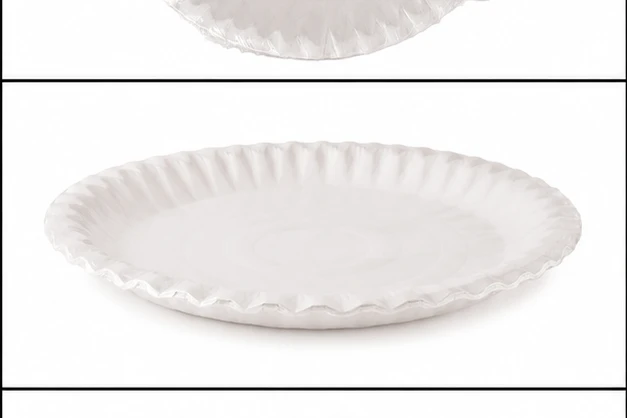 SBS Paper Plate 10" 4