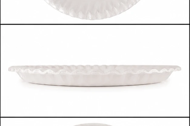 SBS Paper Plate 10" 5