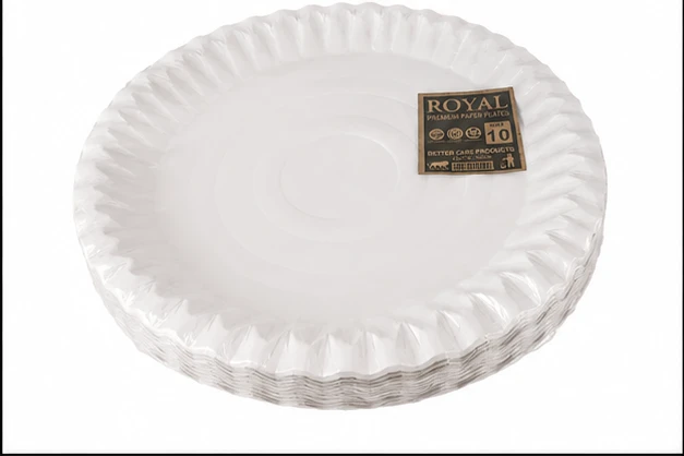SBS Paper Plate 10" 6
