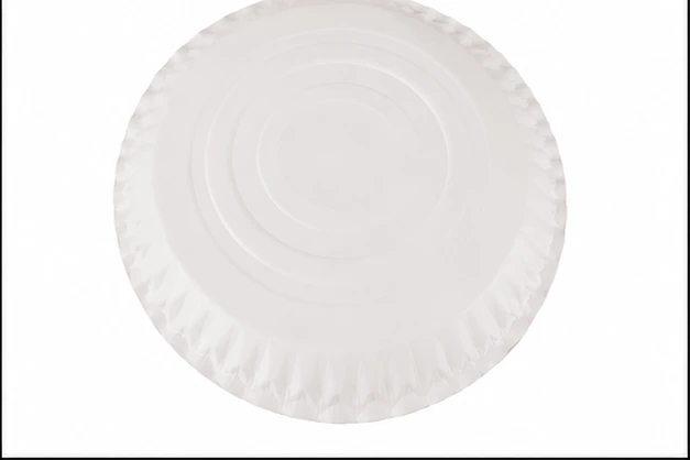 SBS Paper Plate 10" 7