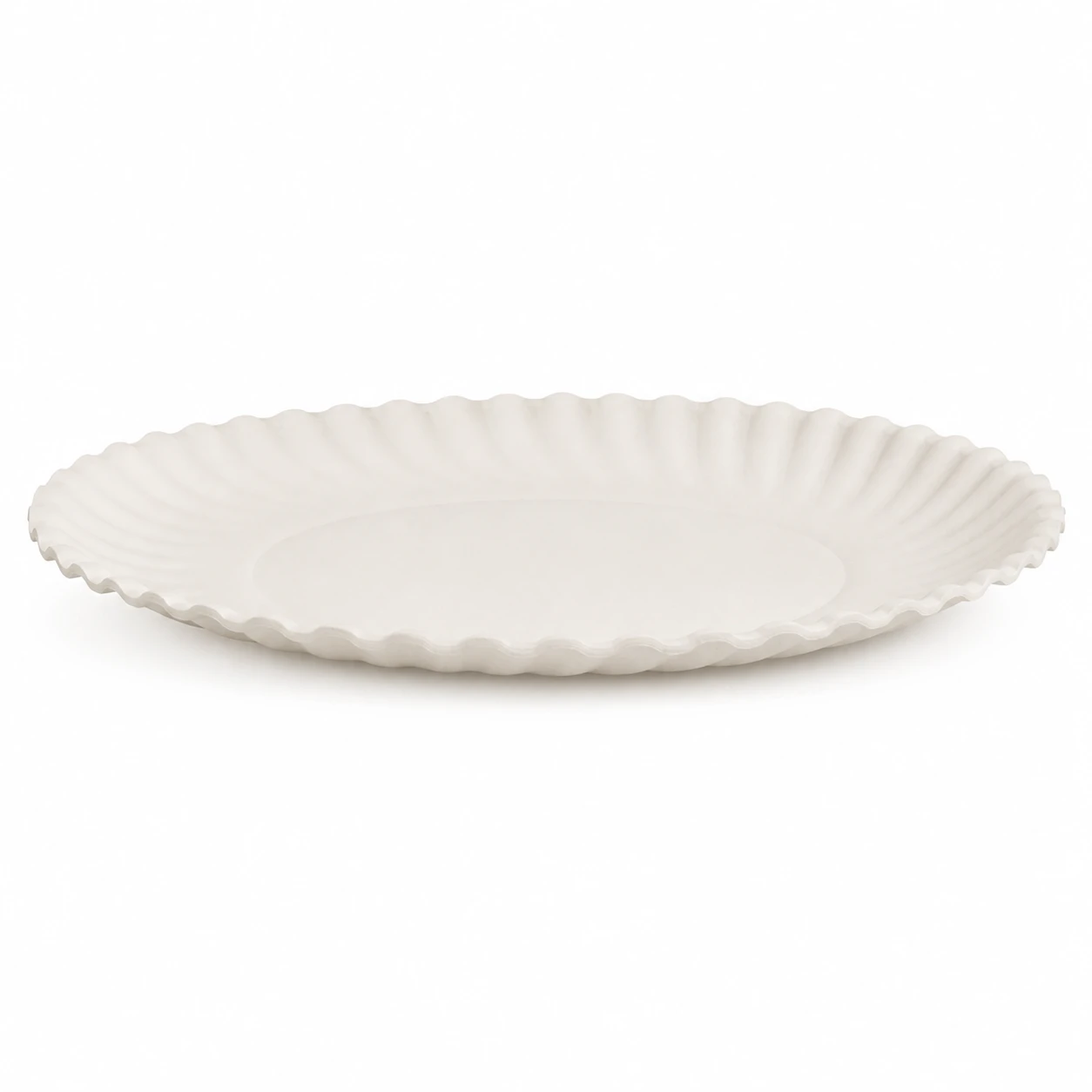 Paper Plate No.8 4