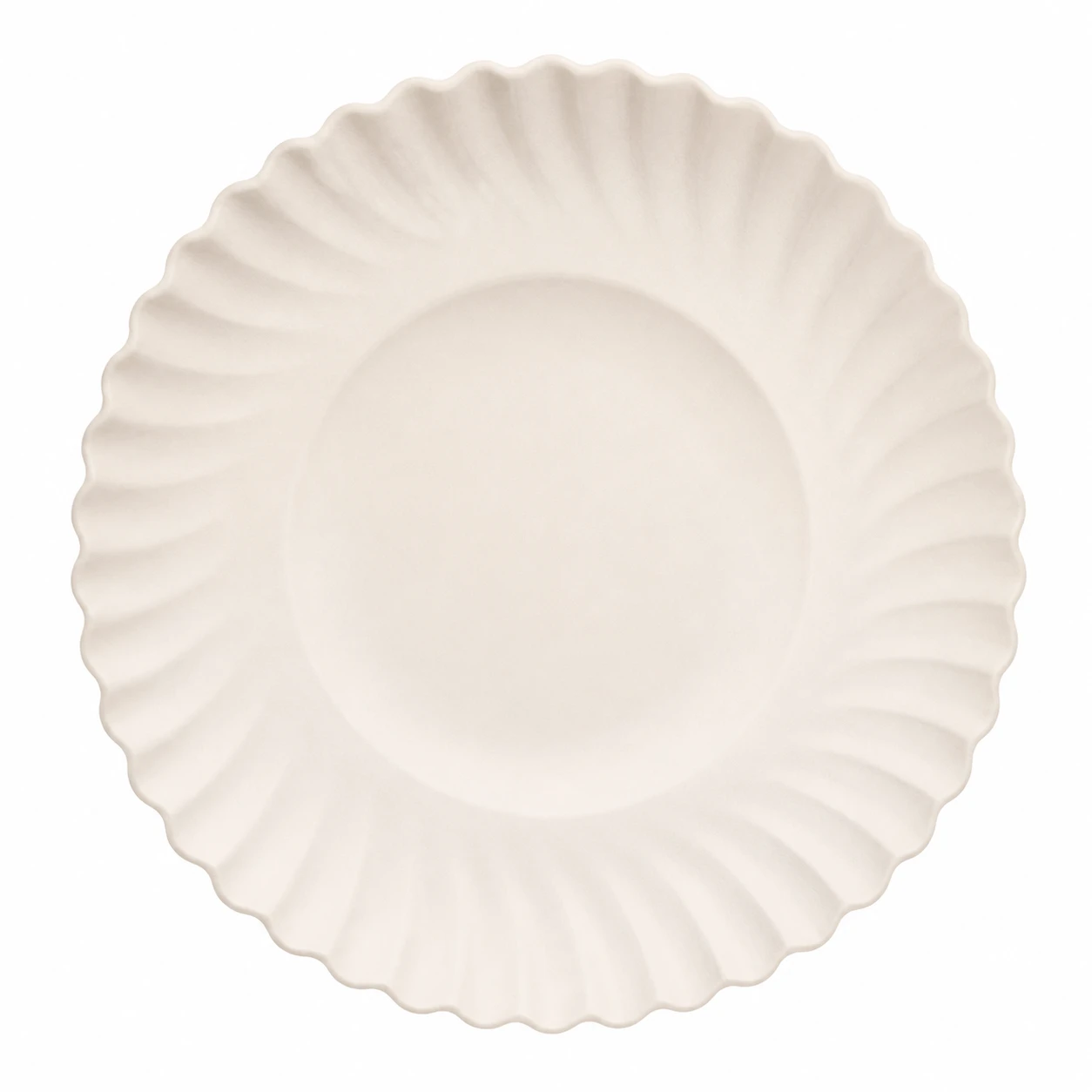 Paper Plate No.8 5
