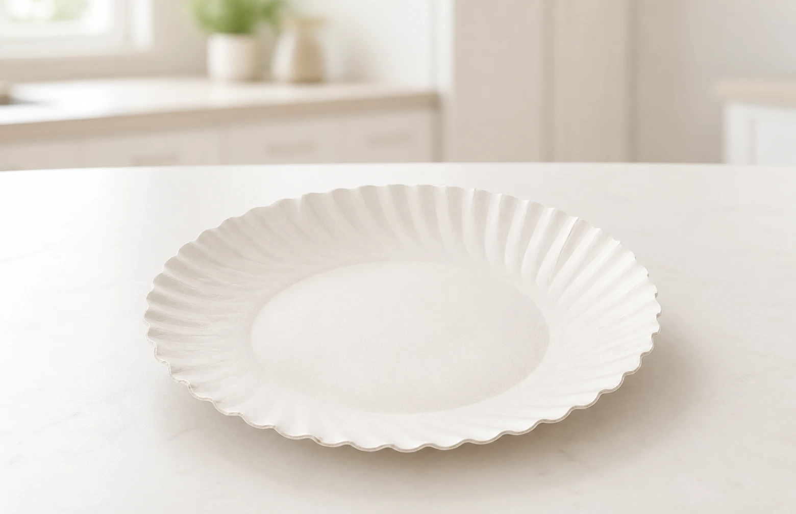 Paper Plate No.8 6