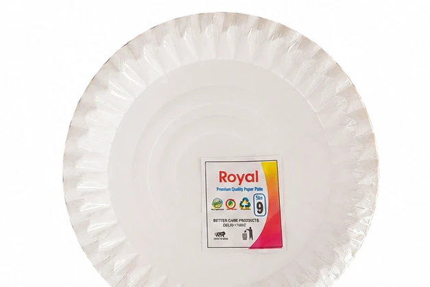 Paper Plate No.9