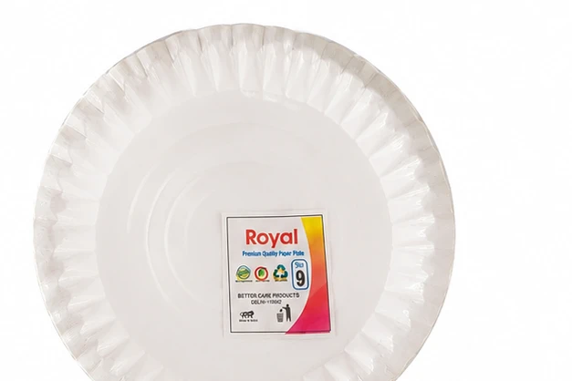 Paper Plate No.9
