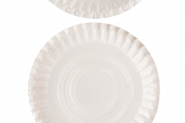 Paper Plate No.9 3