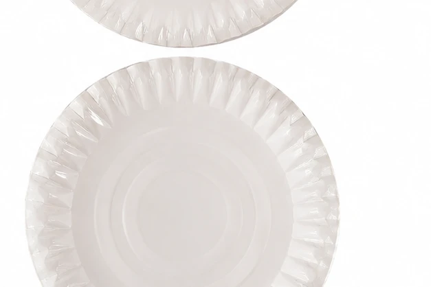 Paper Plate No.9 4