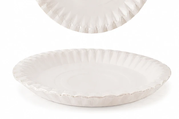 Paper Plate No.9 5