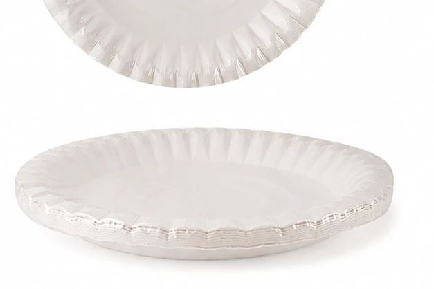 Paper Plate No.9 6