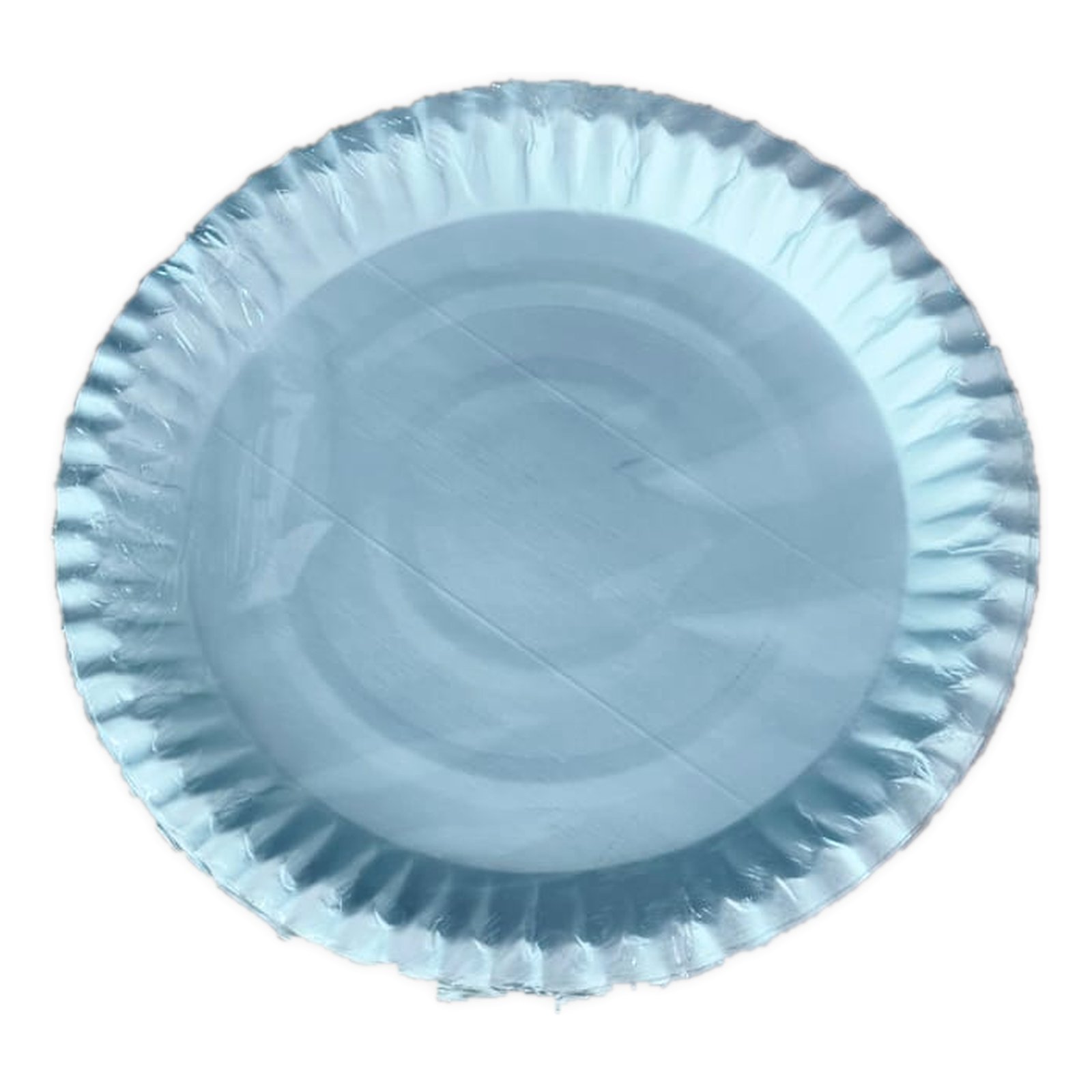 Disposable biodegradable plates